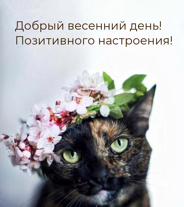 Добрый весенний день! Позитивного настроения!
