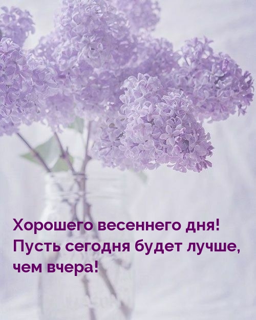 Хорошего весеннего дня! Пусть сегодня будет лучше чем вчера!