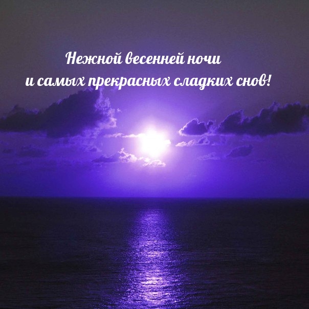 Нежной весенней ночи и самых прекрасных сладких снов!