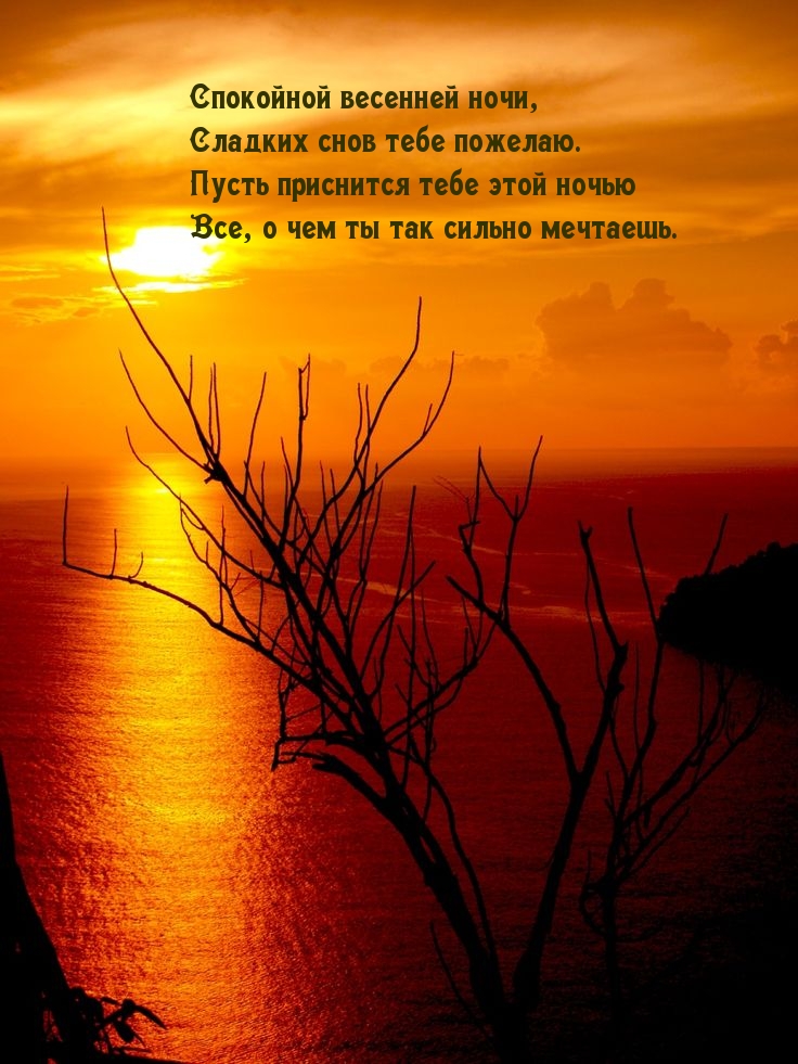 Спокойной весенней ночи, Сладких снов тебе пожелаю