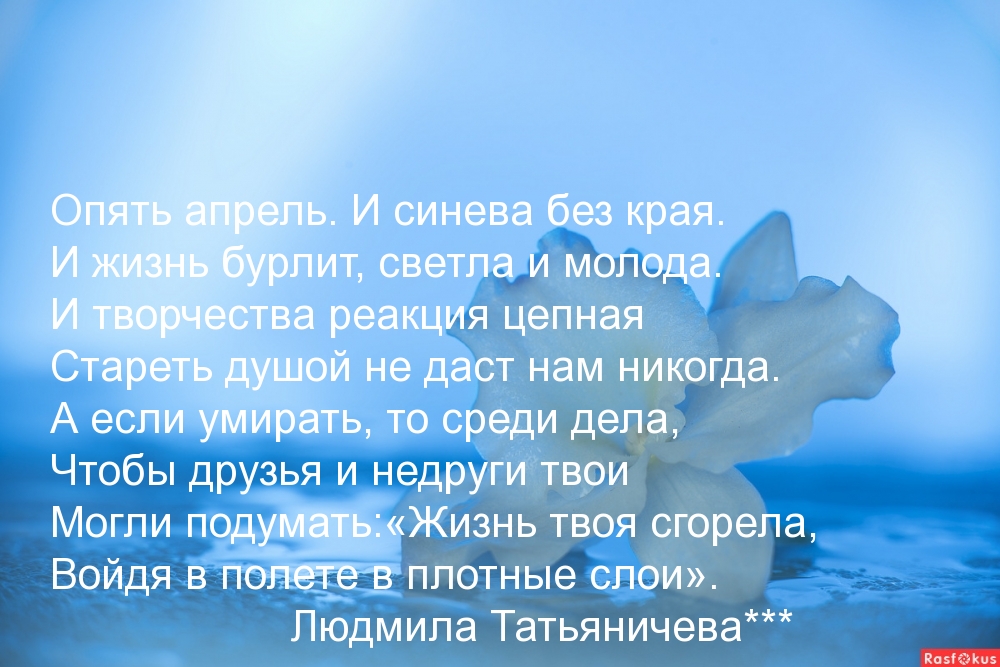 Опять апрель. И синева без края…