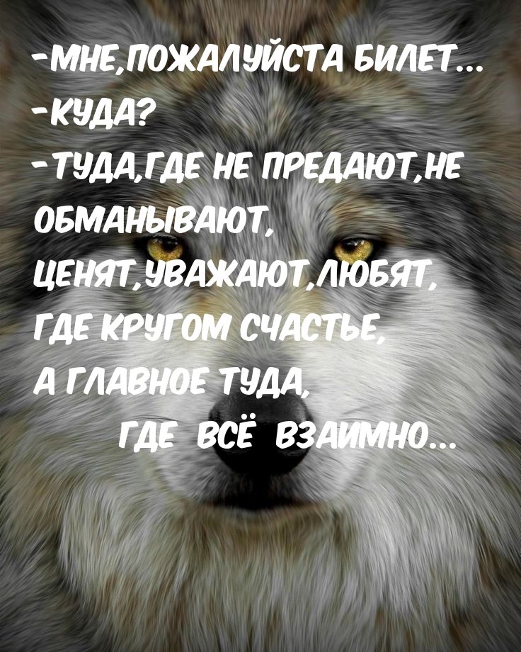 -Мне,пожалуйста билет…