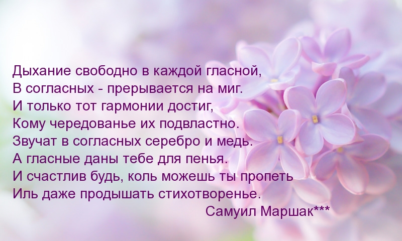 Дыхание свободно в каждой гласной…