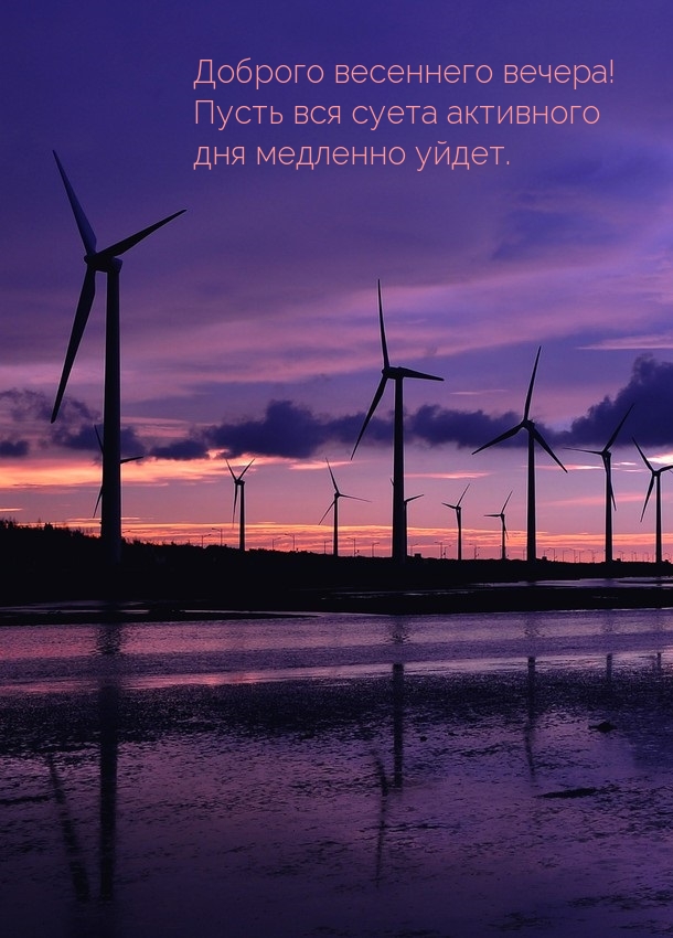 Пусть вся суета активного дня медленно уйдёт.