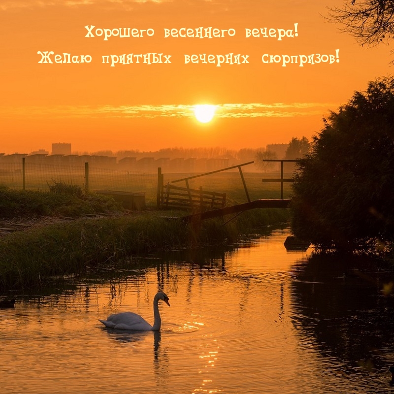 Желаю приятных вечерних сюрпризов!