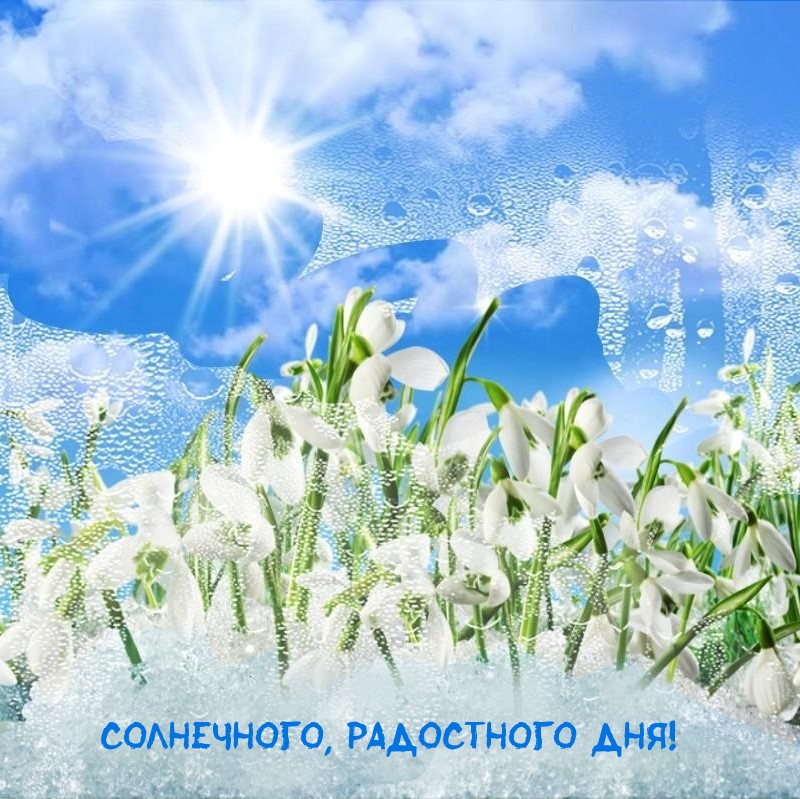 Солнечного, радостного дня!