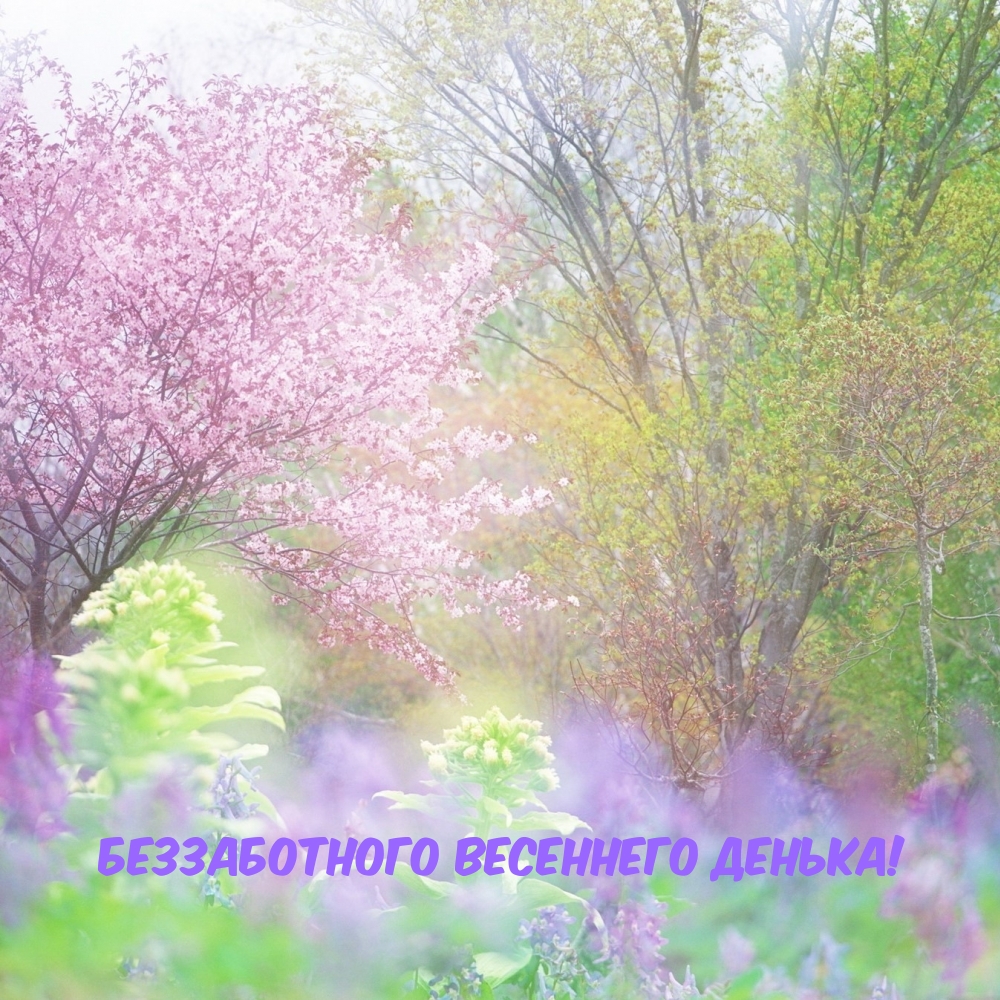 Беззаботного весеннего денька!
