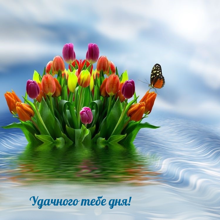 Удачного тебе дня!