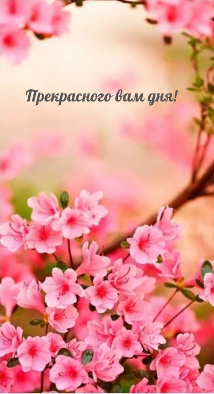Прекрасного вам дня!