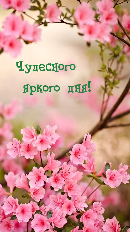 Чудесного яркого дня!