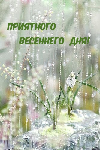 Приятного весеннего дня!