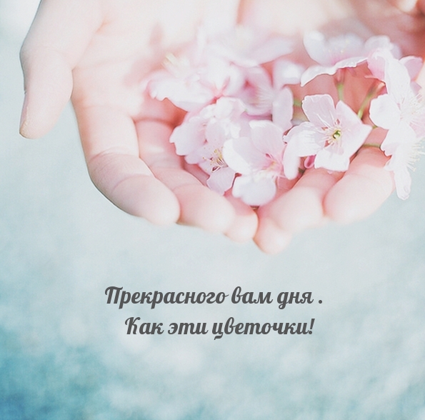 Прекрасного вам дня. Как эти цветочки!