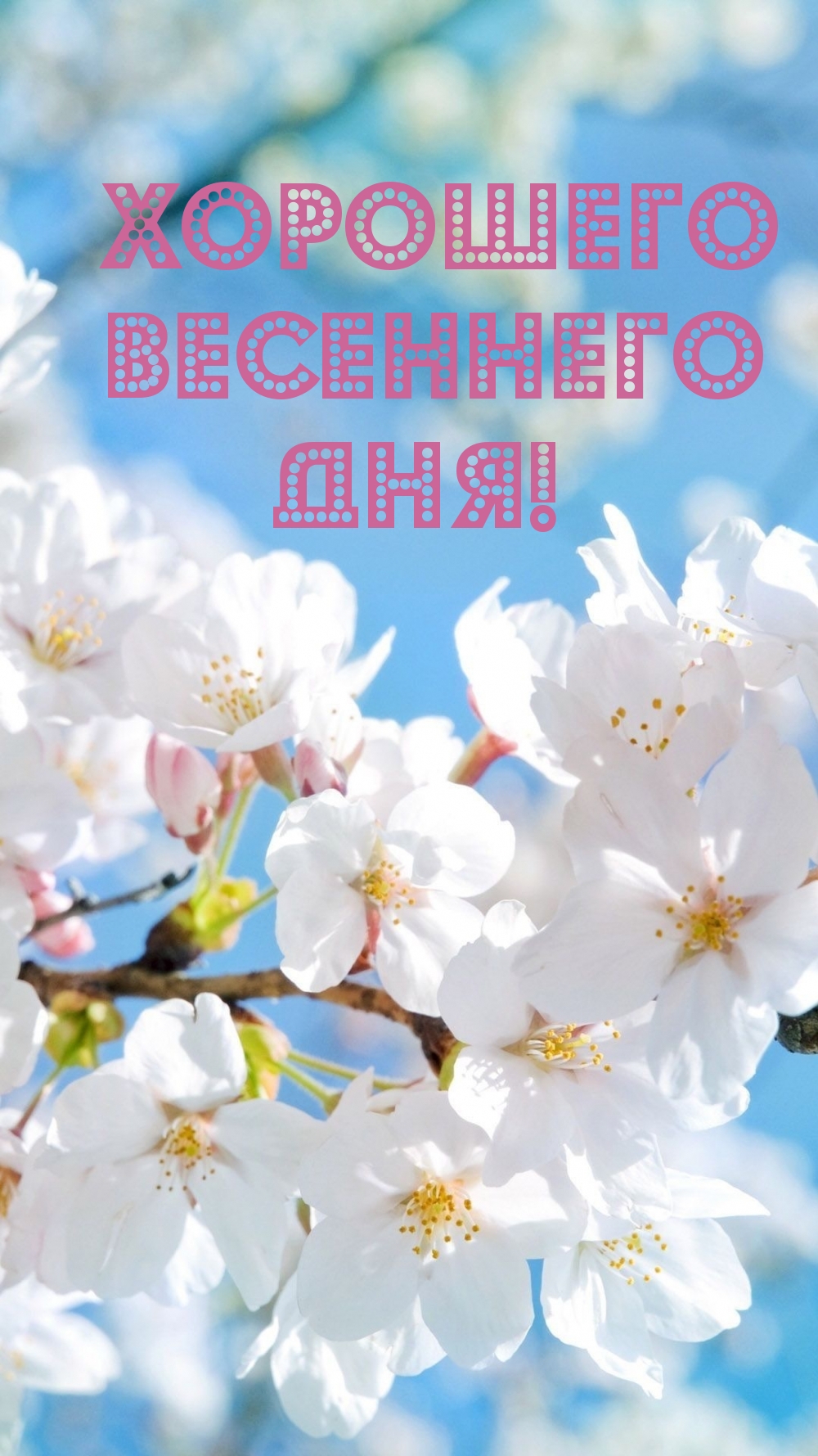 Хорошего весеннего дня!
