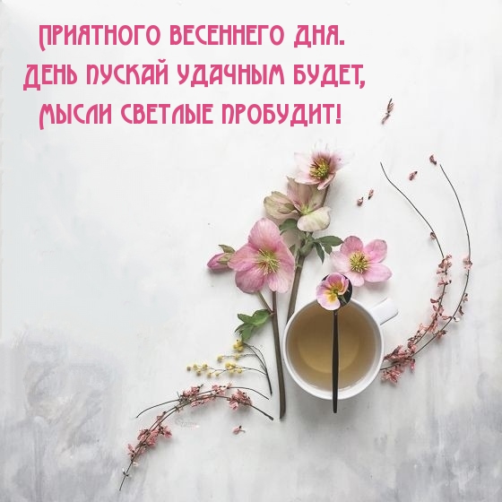 Приятного весеннего дня. День пускай удачным будет