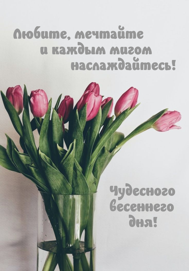 Чудесного весеннего дня! Каждым мигом наслаждайтесь!