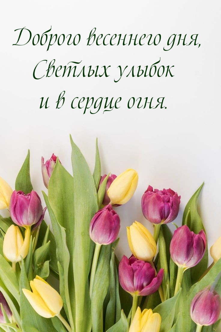 Доброго весеннего дня, светлых улыбок и в сердце огня.