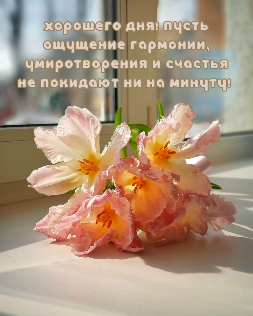 Хорошего дня! Пусть гармония не покидает ни на минуту!