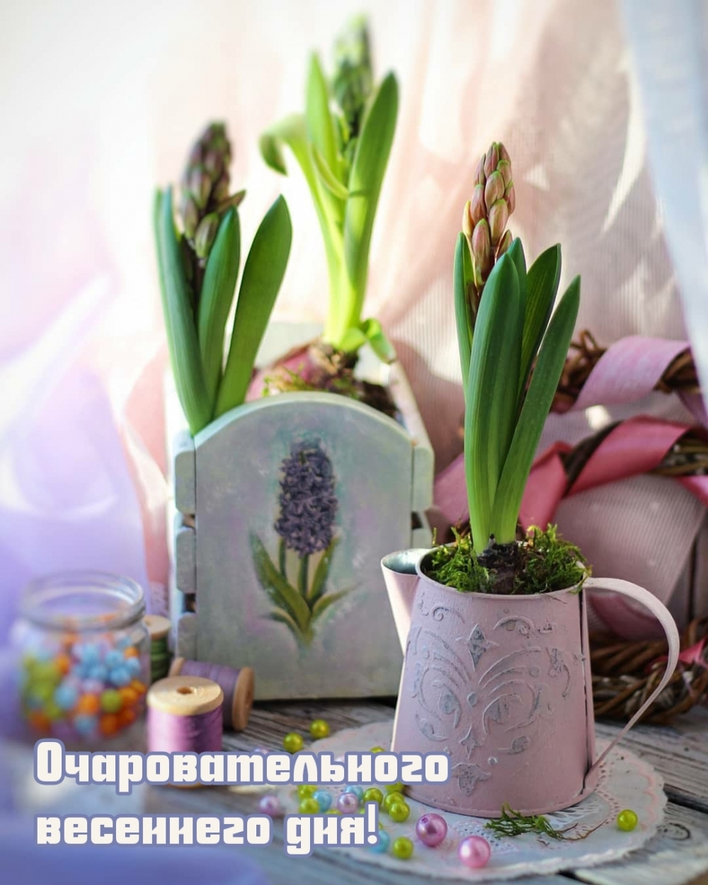 Очаровательного весеннего дня!