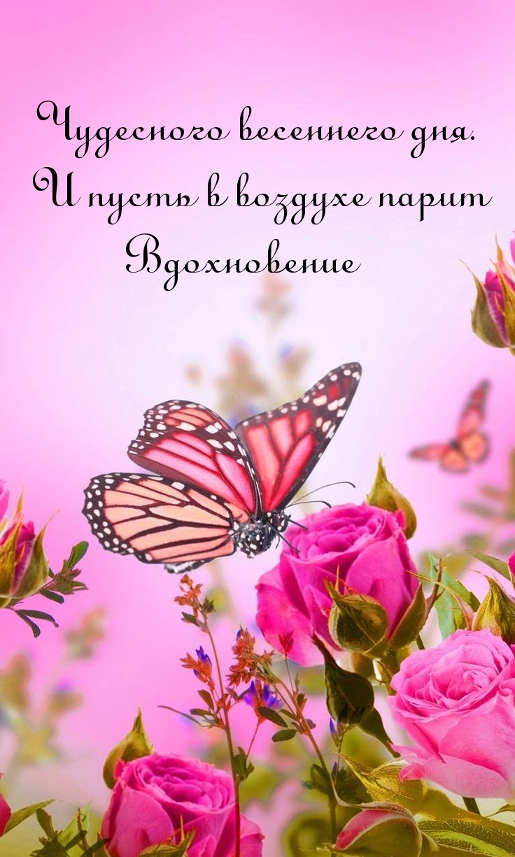 Чудесного весеннего дня! Пусть в воздухе парит вдохновение.