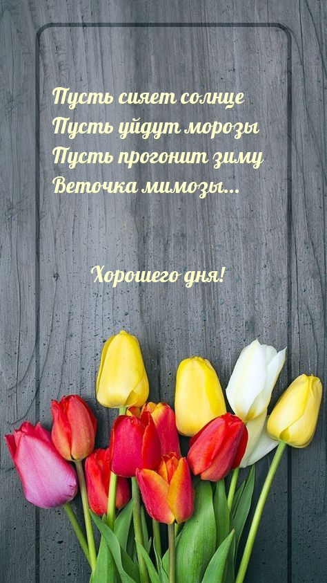 Пусть прогонит зиму веточка мимозы. Хорошего дня!