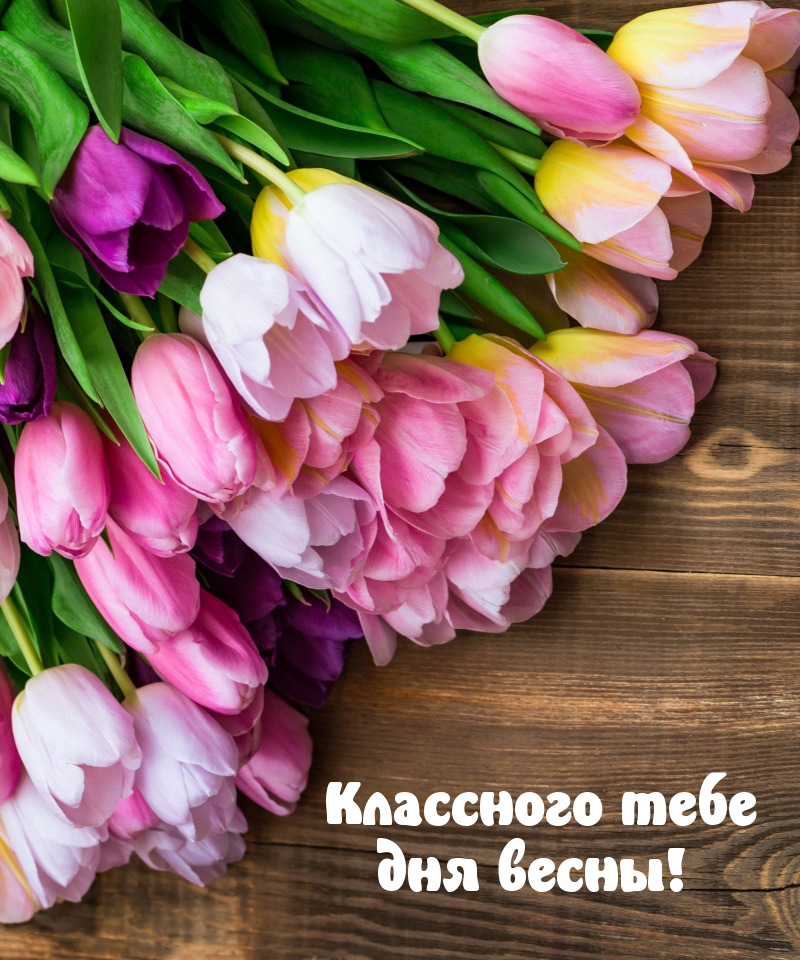 Классного тебе дня весны!