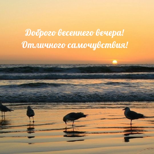 Доброго весеннего вечера! Отличного самочувствия!