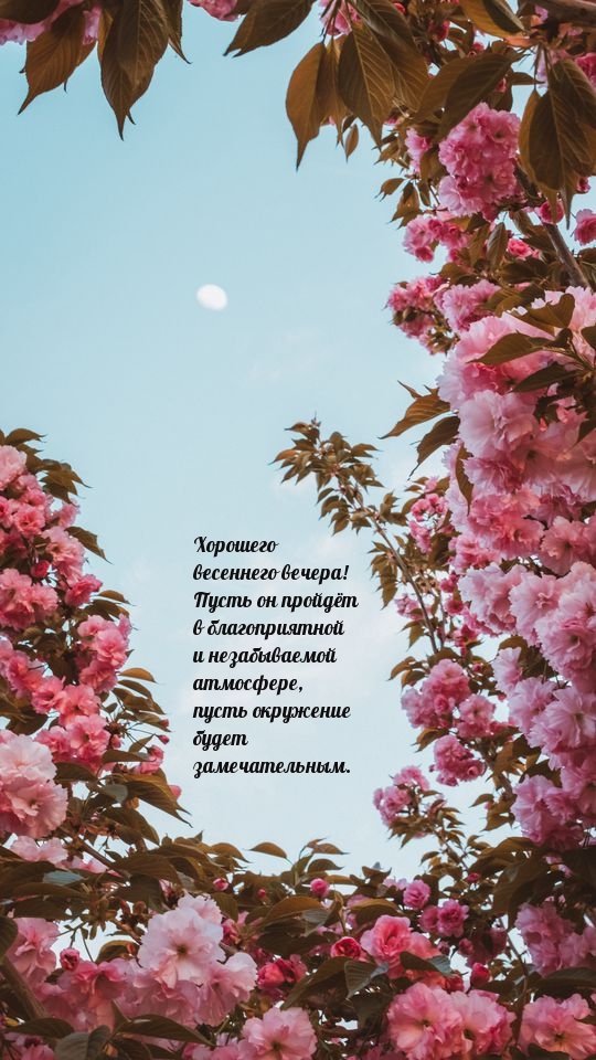 Хорошего весеннего вечера!