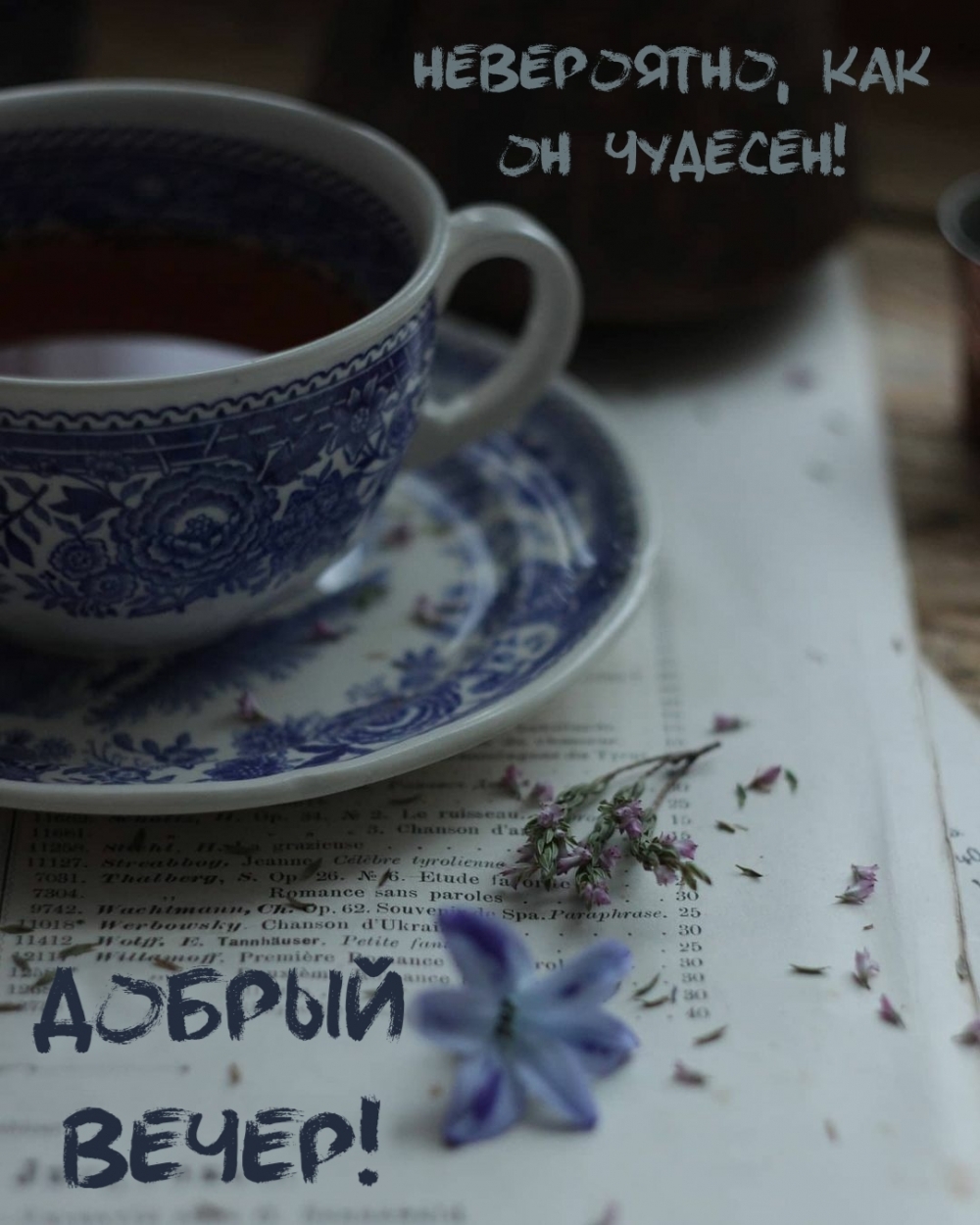 Добрый вечер! Невероятно, как он чудесен!