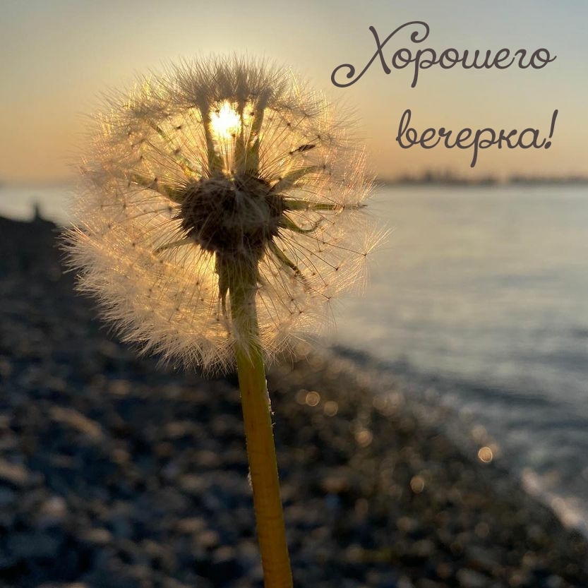 Хорошего вечерка весны!