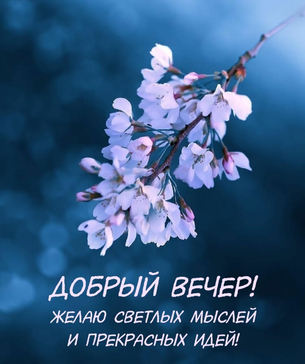 Добрый вечер! Желаю светлых мыслей и прекрасных идей!