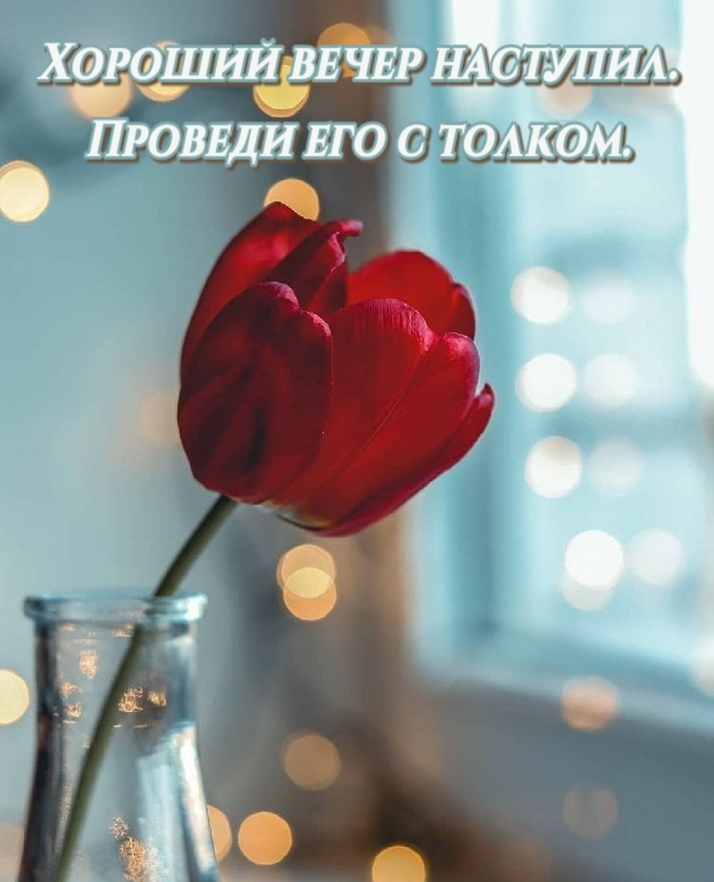 Хороший вечер наступил. Проведи его с толком.