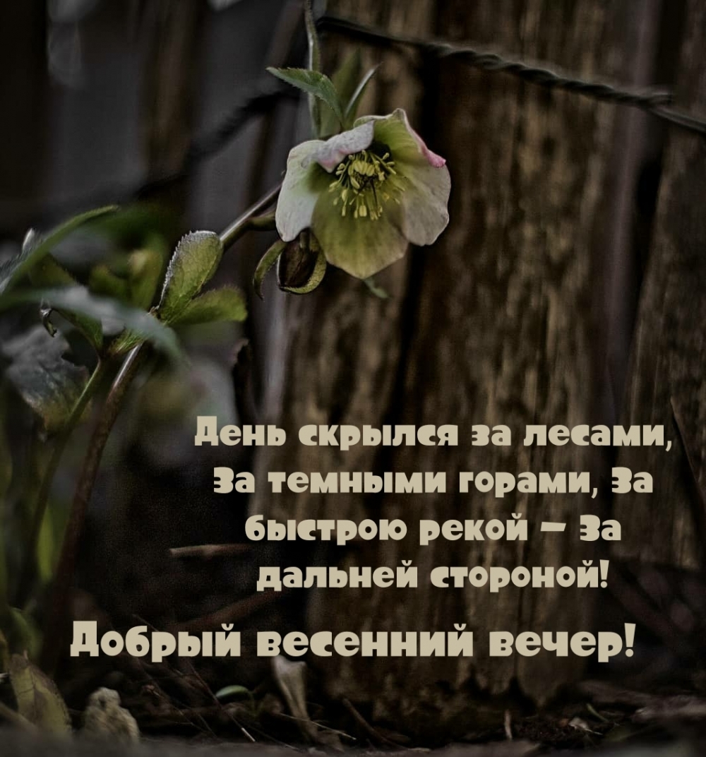 Добрый весенний вечер! День скрылся за лесами