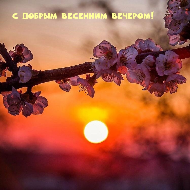 С добрым весенним вечером!
