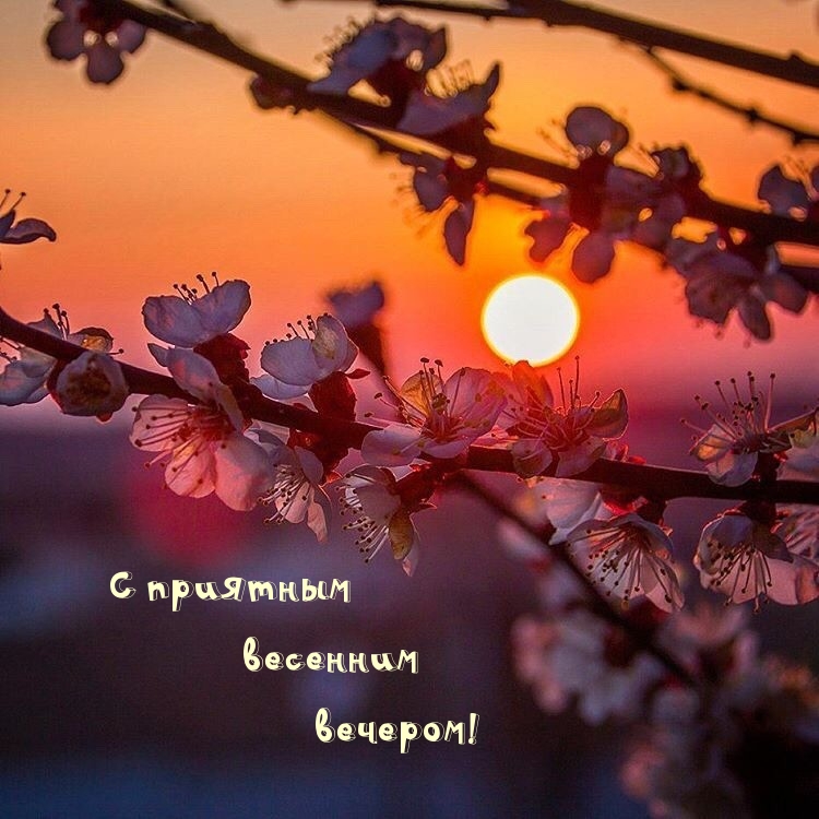 С приятным весенним вечером!