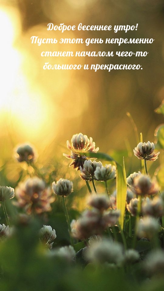 Доброе весеннее утро! Пусть этот день непременно станет…