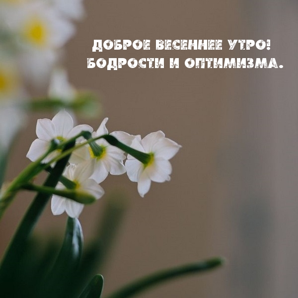 Доброе весеннее утро! Бодрости и оптимизма.