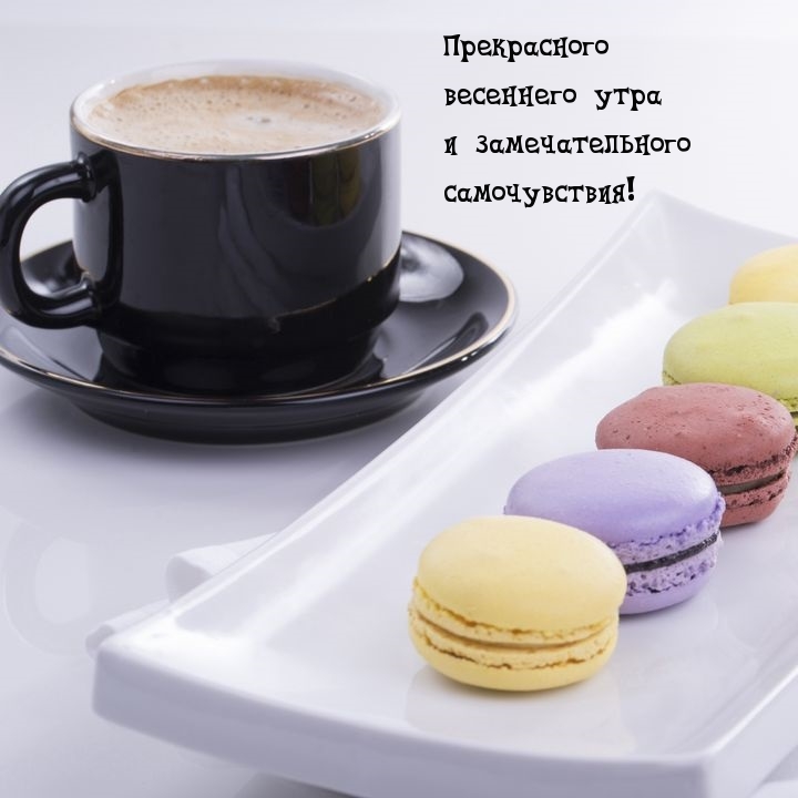 Прекрасного весеннего утра и замечательного самочувствия!