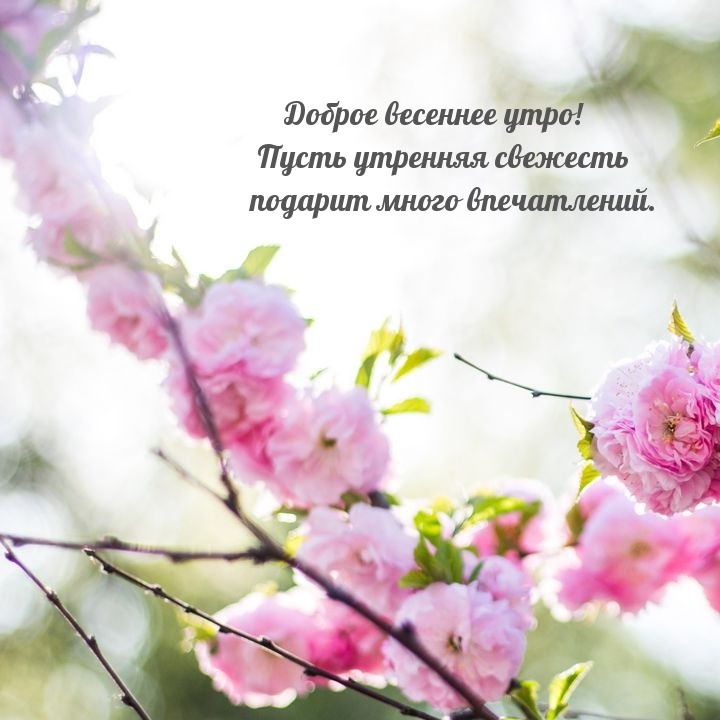 Доброе весеннее утро! Пусть утренняя свежеть подарит много…