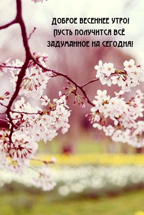 Доброе весеннее утро! Пусть получится всё задуманное на сегодня