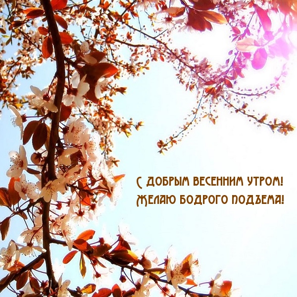 С добрым весенним утром! Желаю бодрого подъема!