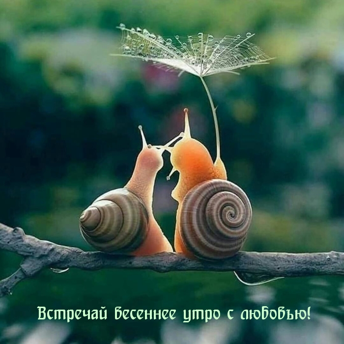 Встречай весеннее утро с любовью!