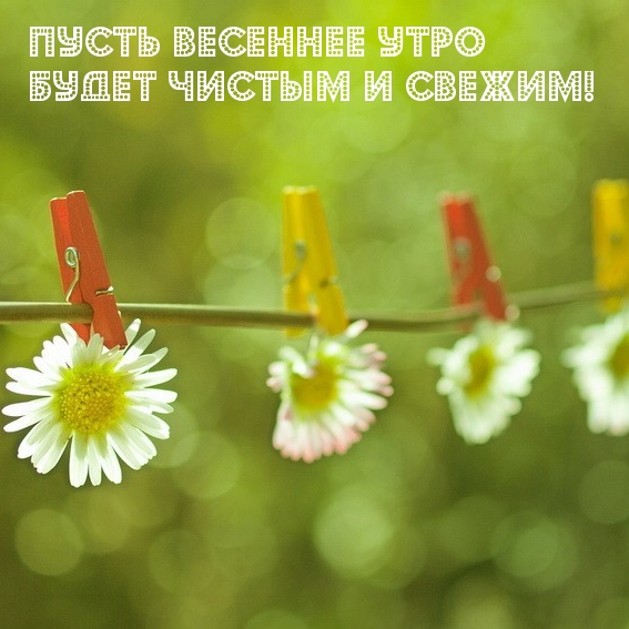 Пусть весеннее утро будет чистым и свежим!