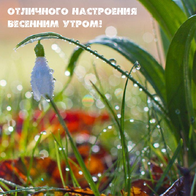 Отличного настроения весенним утром!