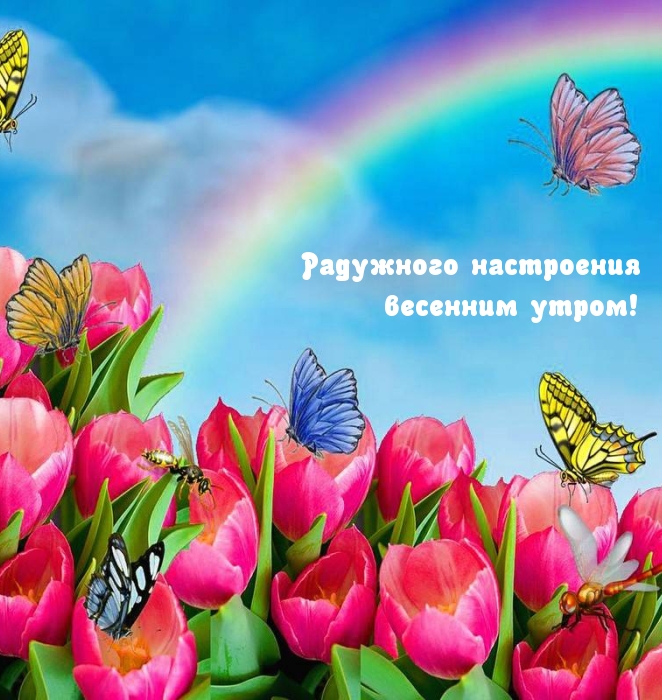 Радужного настроения весенним утром!