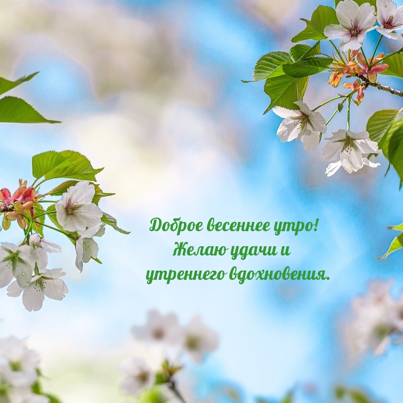 Доброе весеннее утро! Желаю удачи и утреннего вдохновения.