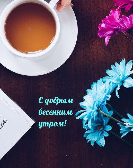 С добрым весенним утром!