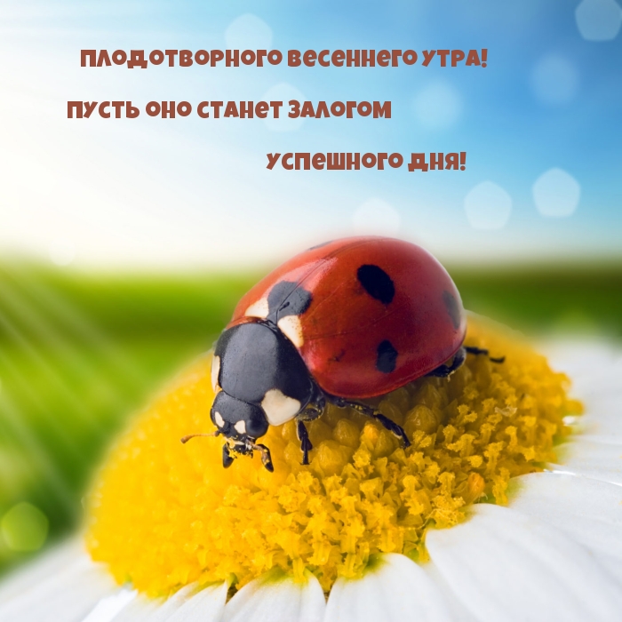 Плодотворного весеннего утра!