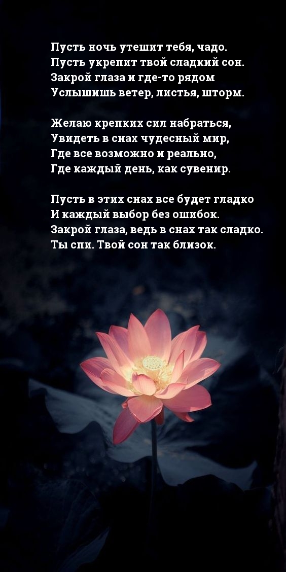 Пусть ночь утешит тебя, чадо.