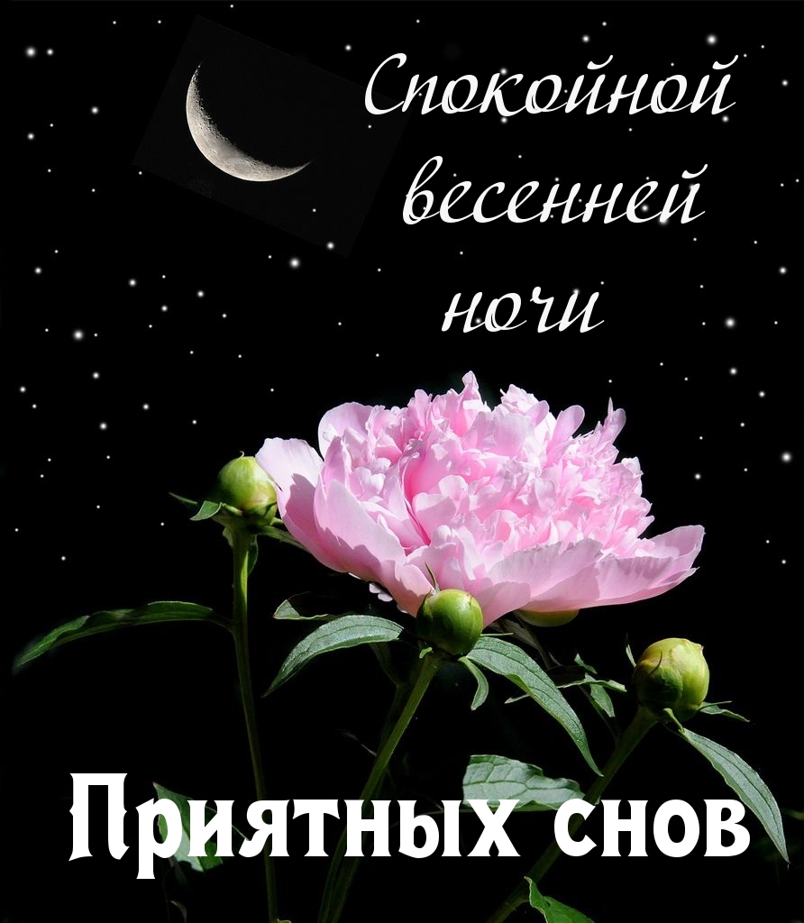 Приятных снов Спокойной весенней ночи
