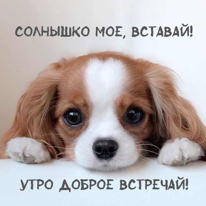 Солнышко мое, вставай! Утро доброе встречай!
